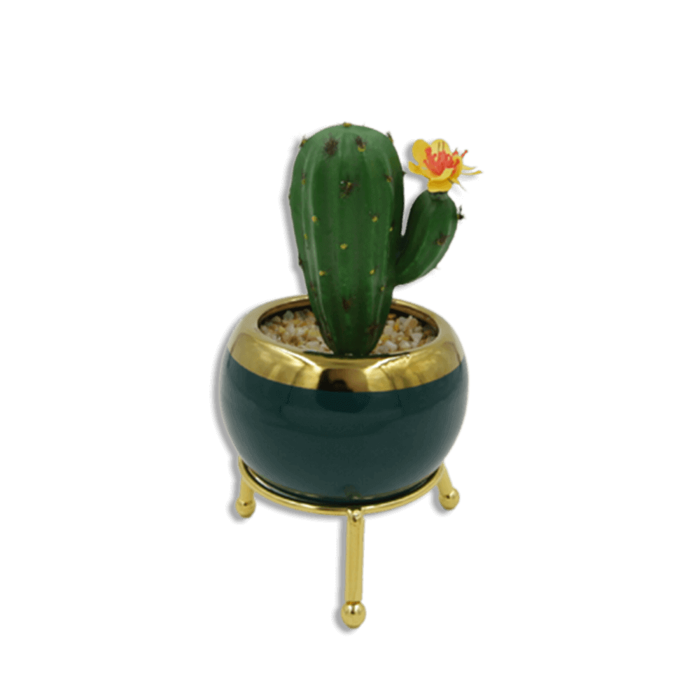 Emrald-and-Golden-Vase-with-Thick-Cactus-and-Yellow-Flower