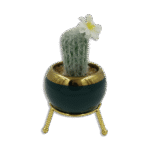 Emrald and Golden Vase with Thin Cactus and White Flower