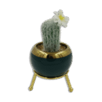 Emrald and Golden Vase with Thin Cactus and White Flower