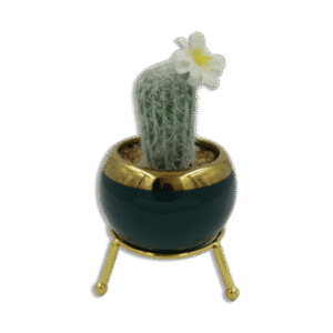 Emrald and Golden Vase with Thin Cactus and White Flower