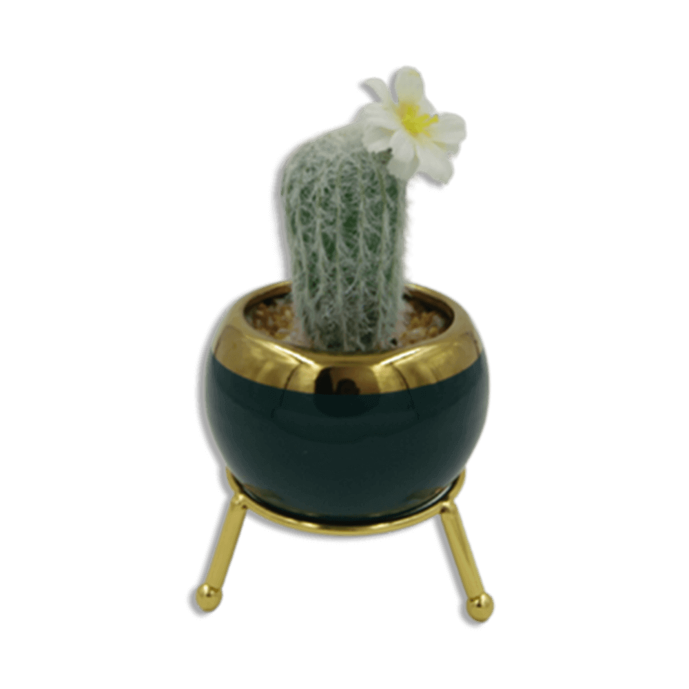 Emrald-and-Golden-Vase-with-Thin-Cactus-and-White-Flower