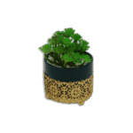 Golden Patterned Vase with Green Plant