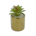 Golden Vase with Wide Light Green Flower