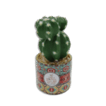 Ornament Vase with Cactus
