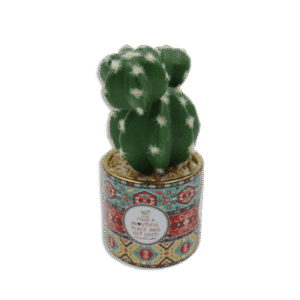 Ornament Vase with Cactus