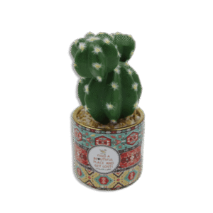 Ornament Vase with Cactus