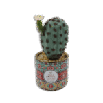 Ornament Vase with Cactus and Pink Flower