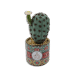 Ornament Vase with Cactus and Pink Flower