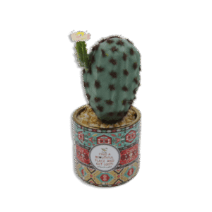 Ornament Vase with Cactus and Pink Flower