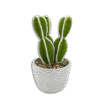 Ribbed Vase with Cactus