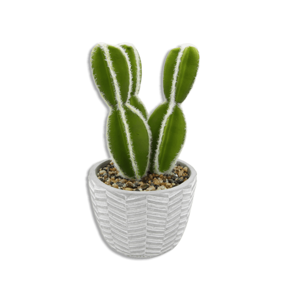 Ribbed-Vase-with-Cactus