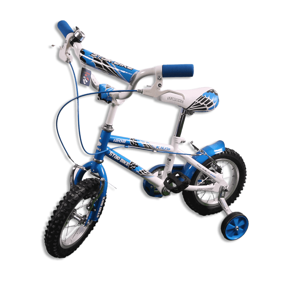 White-&-Blue-12-Star-Bike-1