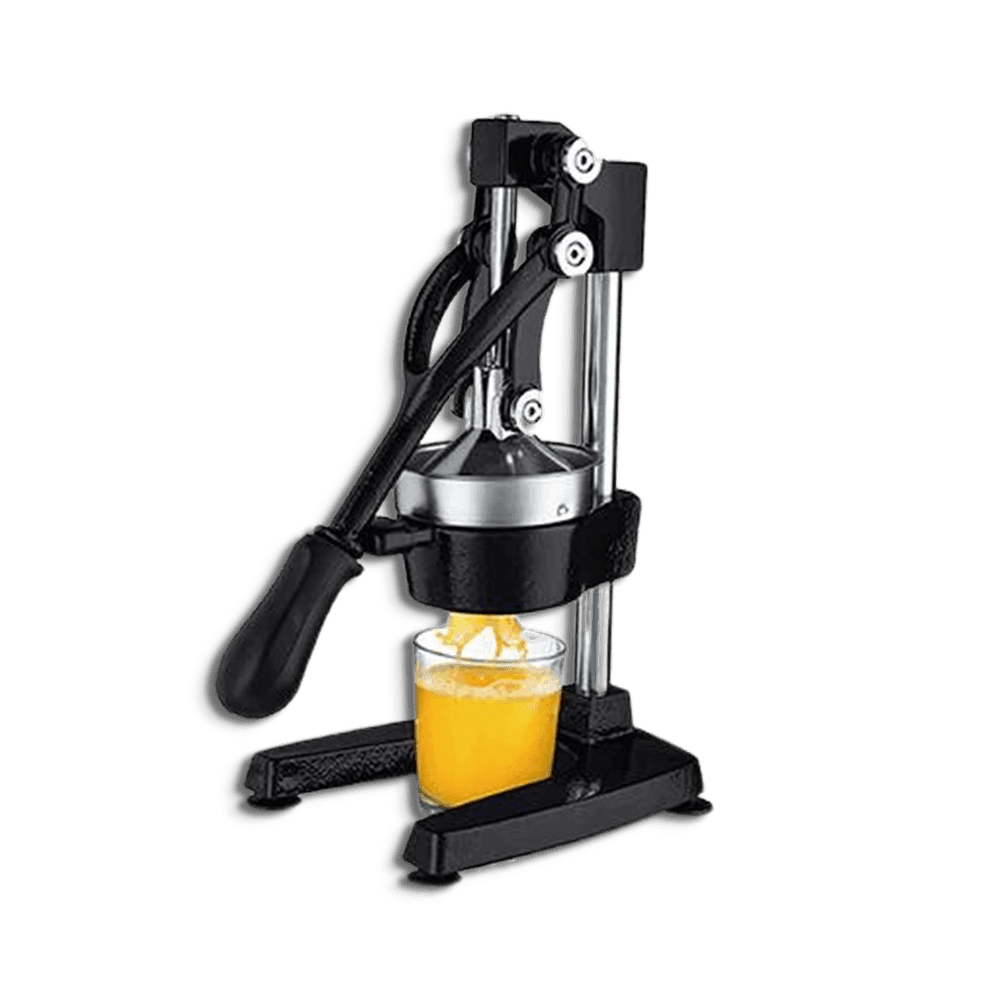 Style-House-Cast-Iron-Juicer