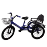Black & Blue 20 Smarter Bike 2 Seats