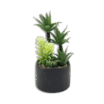 Black Vase with Palm Trees and Plants