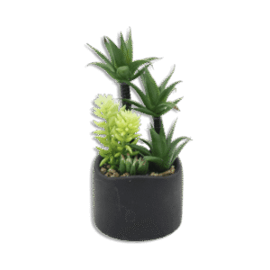 Black Vase with Palm Trees and Plants
