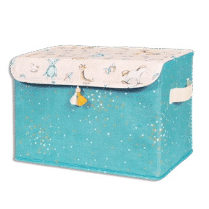 Boy Rectangular Baby Storage Box Maxi Size