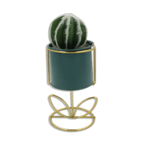 Emrald Vase with Golden Base and Furred Round Cactus