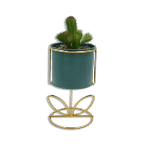 Emrald Vase with Golden Base and Sprung Cactus