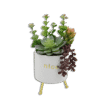 White Vase with Golden Base and Colorful Plants