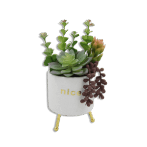 White Vase with Golden Base and Colorful Plants