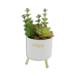 White Vase with Golden Base and Green Plants