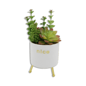 White Vase with Golden Base and Green Plants