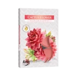 Cactus Flower 6Pcs Round Scented Candles
