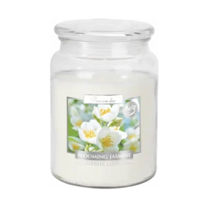 Premium Line Blooming Jasmine Scented Candle