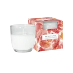 Red Fruits & Aloe Scented Candle