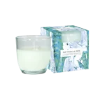 Soft Vanilla & Musk Scented Candle