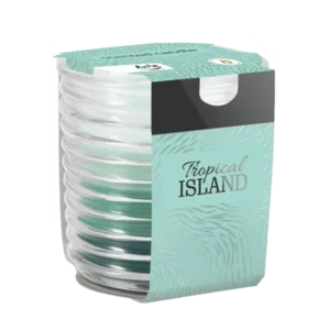 Tropical Island Scented Candle