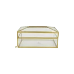 Glass 22X10cm Tissue Box with Golden Frame