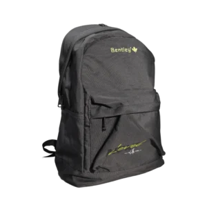 Bentley Level Grey 2 Zippers Backpack
