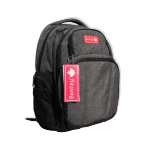 Bentley Plain Grey 4 Zippers Backpack
