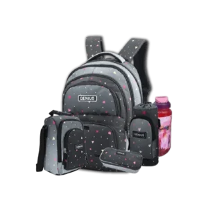 Genius 18" Hearts Grey Backpack 5Pcs Set