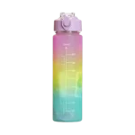 Matte 1000ml Purple Lid Water Bottle with Stickers