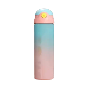 Matte 800ml Pink & Blue Water Bottle