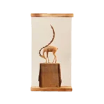 Decor 21x40cm Wooden Deer Inside Glassy Box