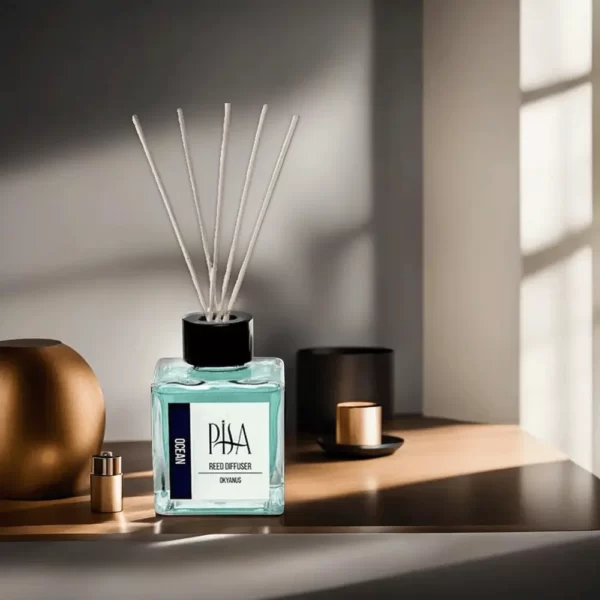 Pisa Reed Ocean 100ml Diffuser1