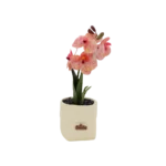 Gypsum 28cm Pink Flower Beige Pot