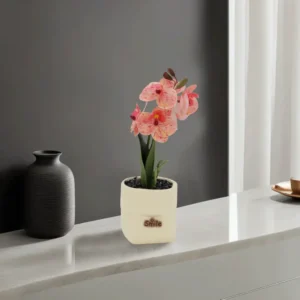 Gypsum 28cm Pink Flower Beige Pot1