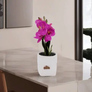 Gypsum 28cm Purple Flower White Pot1