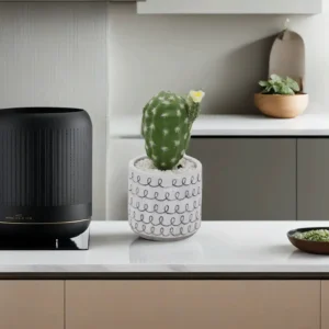 Pink Flower Cactus with Pebbles & White Pot1