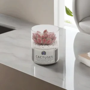 Pink Pant Cactus Transparent Pot1