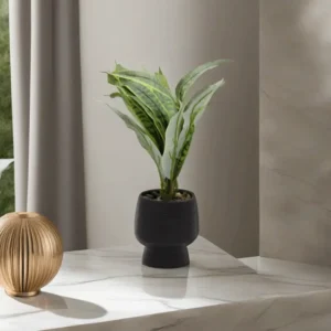 Porcelain 40cm Deep Green Plant Black Pot1