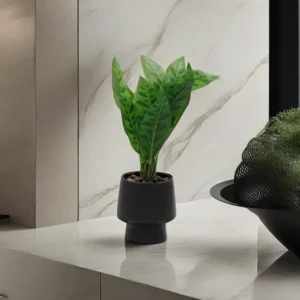 Porcelain 40cm Green Plant Black Pot1