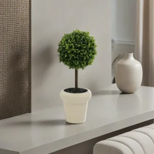 Tree Plant with Porcelain Beige Pot1