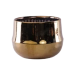 Golden 13x13cm Round Pot