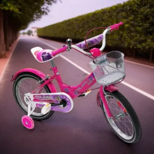 Italiano 4 Wheels Fuchsia Bicycle1